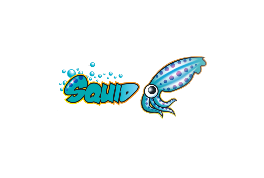 Исправление ошибки assertion failed: http.cc:1533: «!Comm::MonitorsRead(serverConnection->fd)» на Squid 4